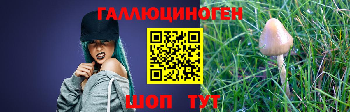 Ишимбай  Псилоцибиновые грибы Psilocybe  Галлюциногенные грибы Psilocybe  Вход с VPN 